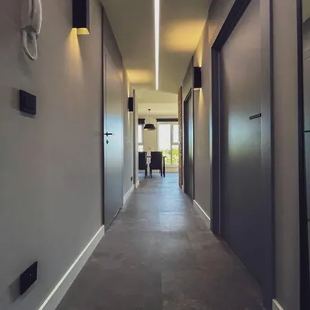 Apartament Black Lynx Milionowa Lodz (Lodz)