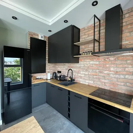 Apartament Black Lynx Milionowa Lodz (Lodz)