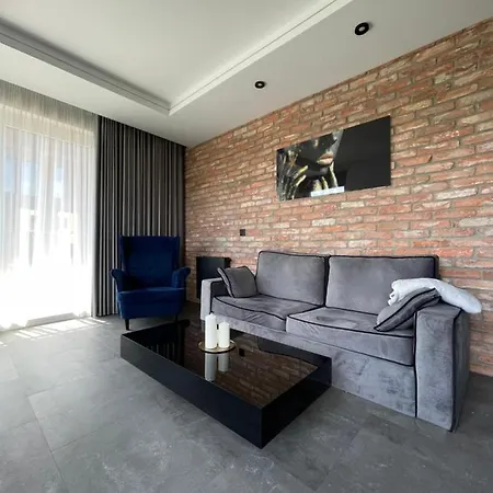Apartment Apartament Black Lynx Milionowa Lodz (Lodz)