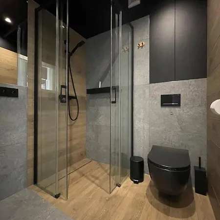 Apartament Black Lynx Milionowa Lodz (Lodz)