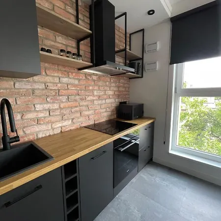 Apartament Black Lynx Milionowa * Lodz (Lodz)